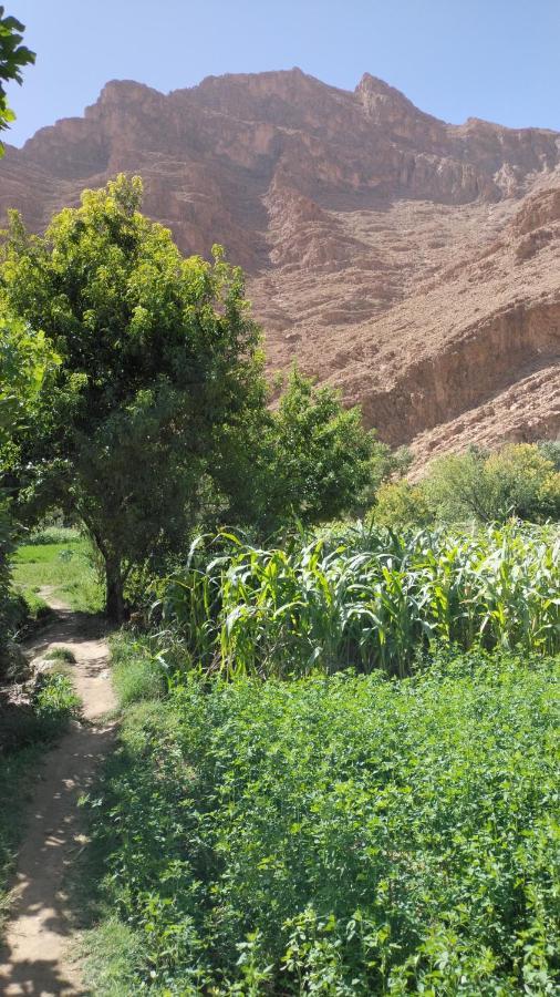 Riad Dar Ahlam Ait Baha Экстерьер фото